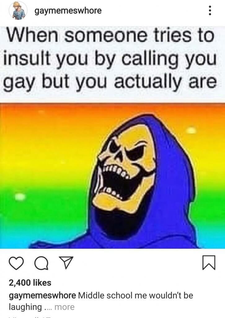 because you are gay meme